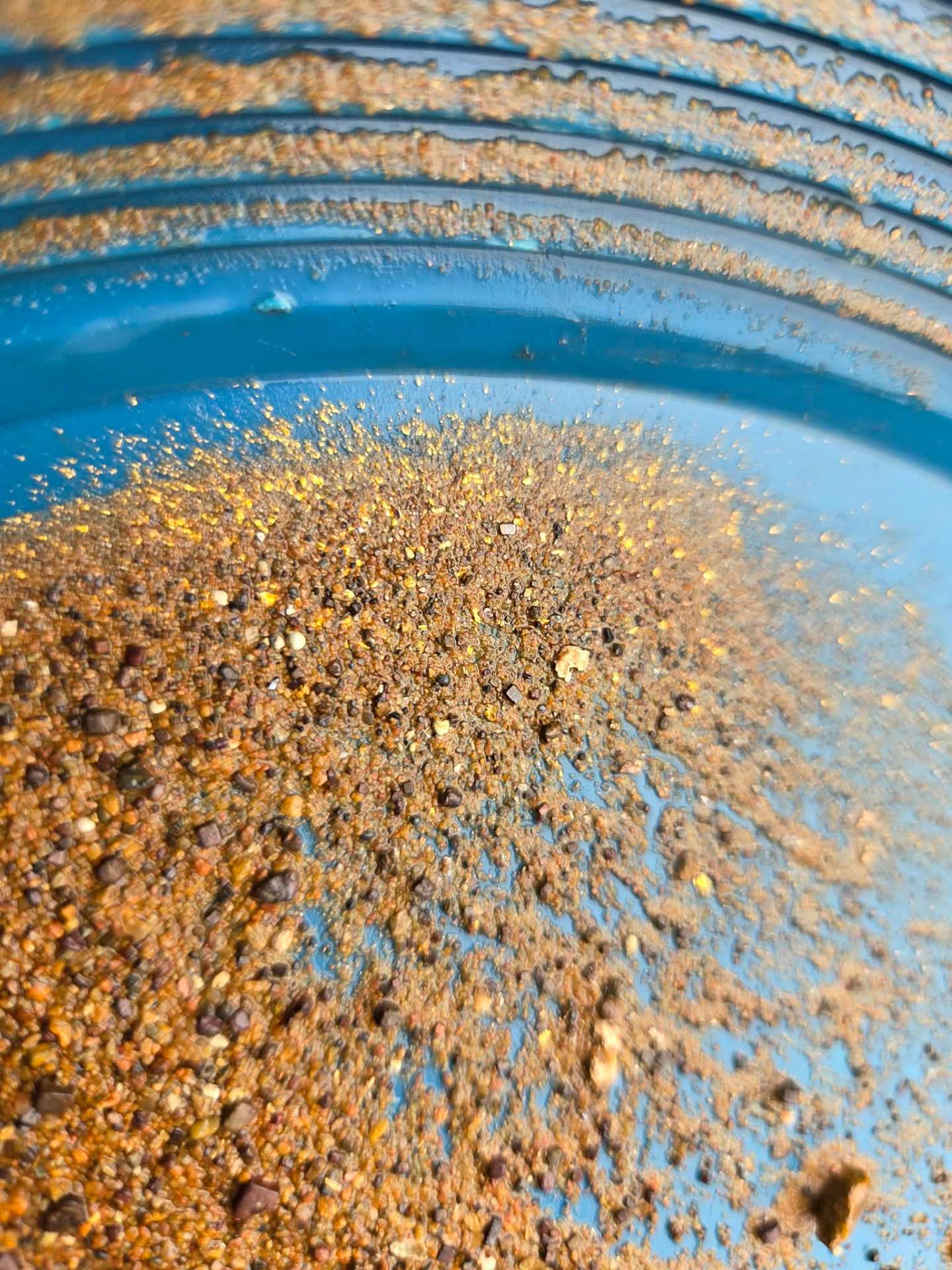 Gold colours captured in a prospector's pan